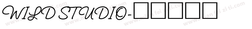 WILD STUDIO字体转换